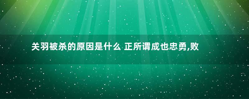 关羽被杀的原因是什么 正所谓成也忠勇,败也忠勇